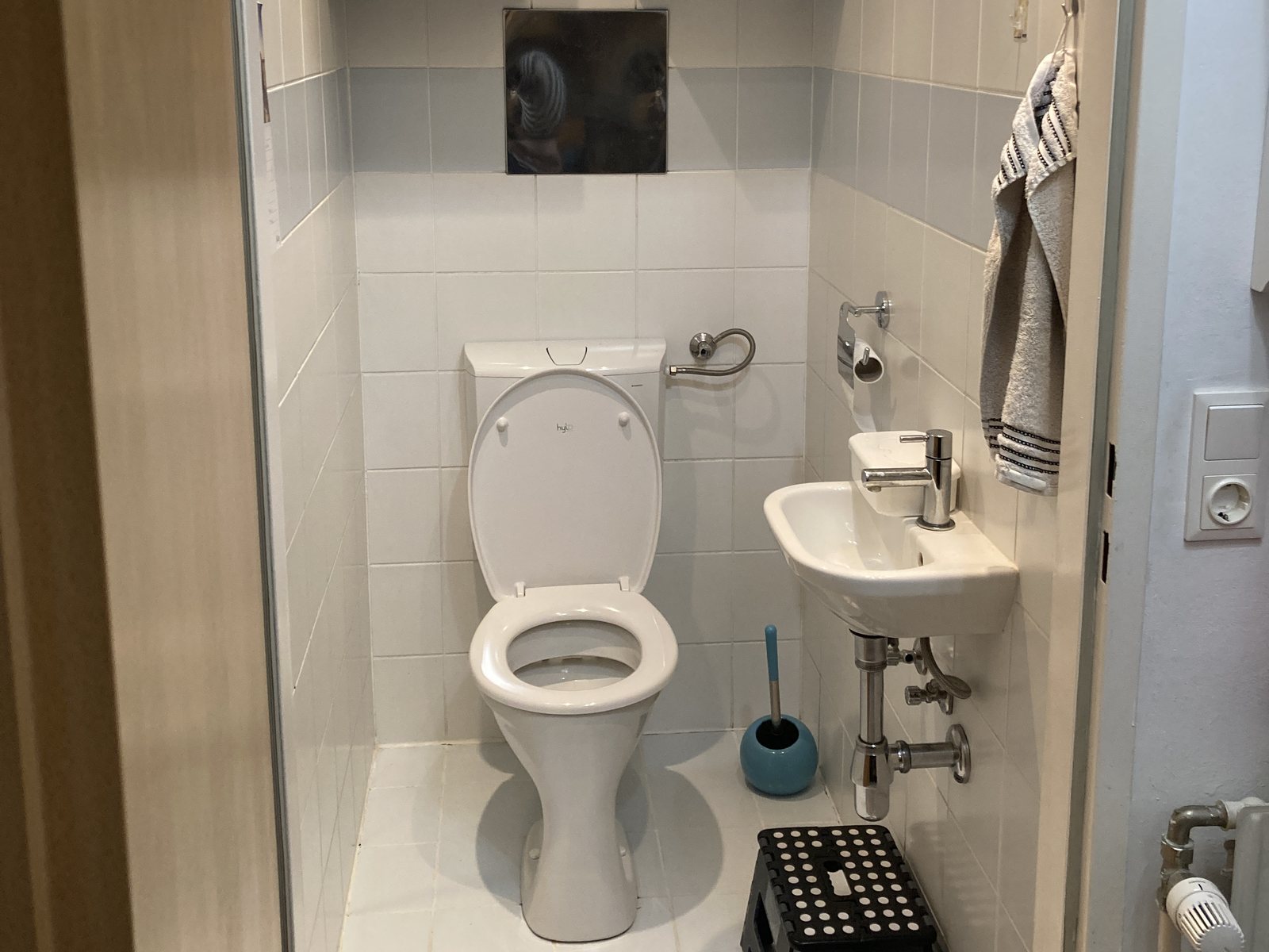 Vorher: altes WC mit Standklosett